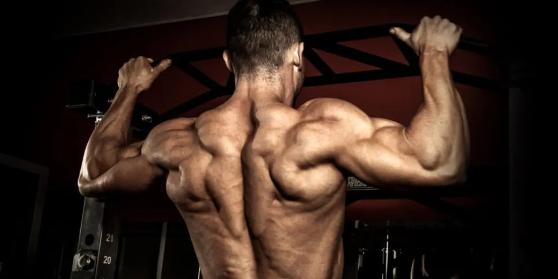 Homem musculoso de costas puxando o corpo em direção a barra que está acima de sua cabeça no equipamento da academia.