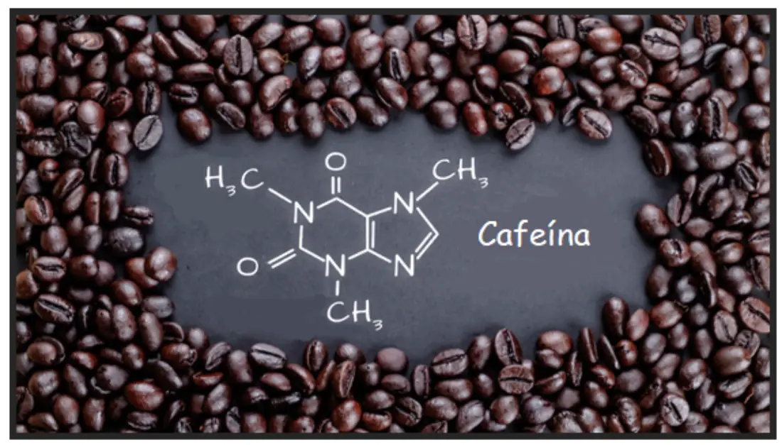 Cafeína em grãos com sua fórmula molecular.