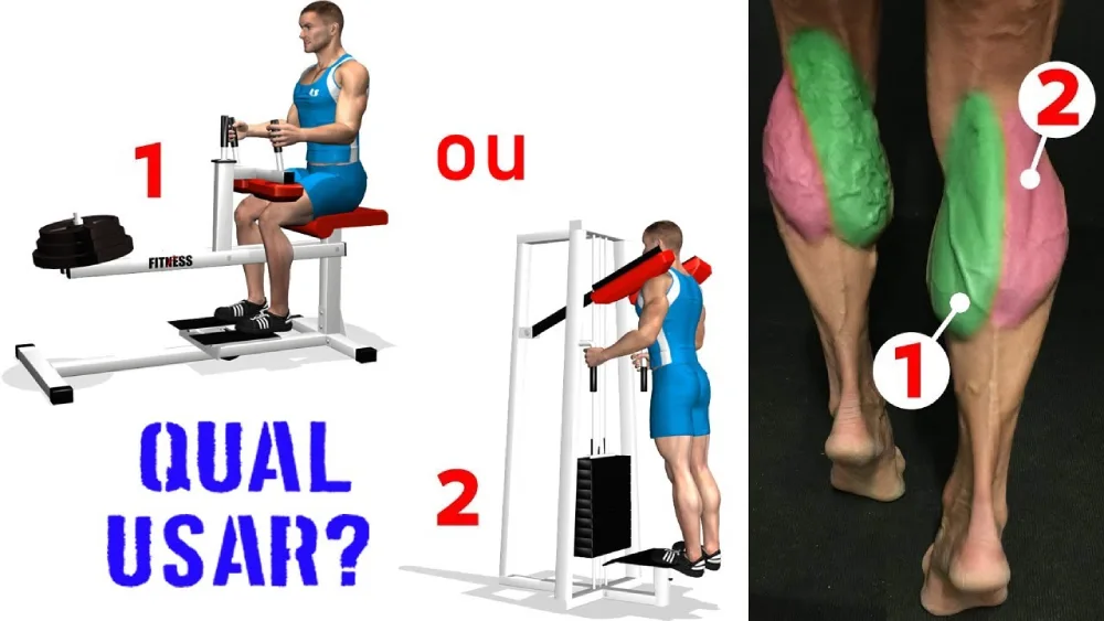 Imagem ilustrativa mostrando pontos fortes e fracos dos treinos de panturrilhas em pé e panturrilhas sentado na academia.